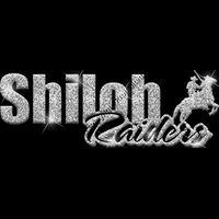 GLT1 SILVER GLITTER Thumbnail